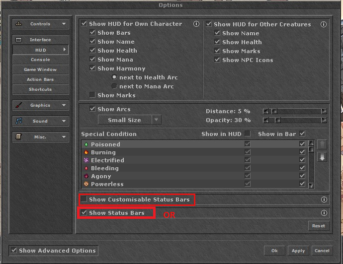 Tibia options: Show Status Bars enabled